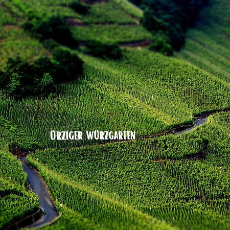 Apartment Weingut Dr Hermann I Erden Εξωτερικό φωτογραφία