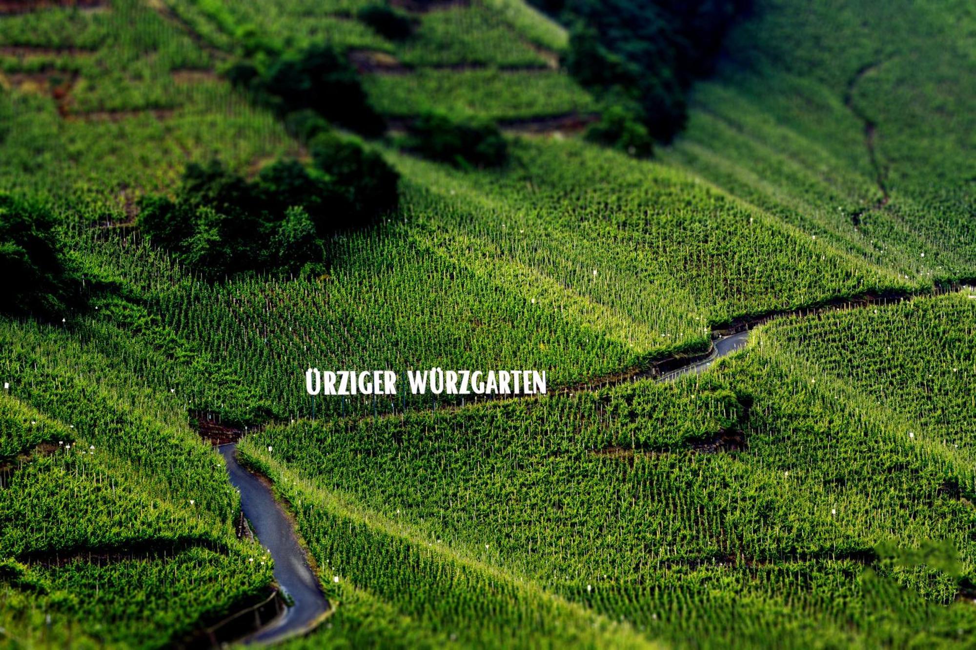 Apartment Weingut Dr Hermann I Erden Εξωτερικό φωτογραφία