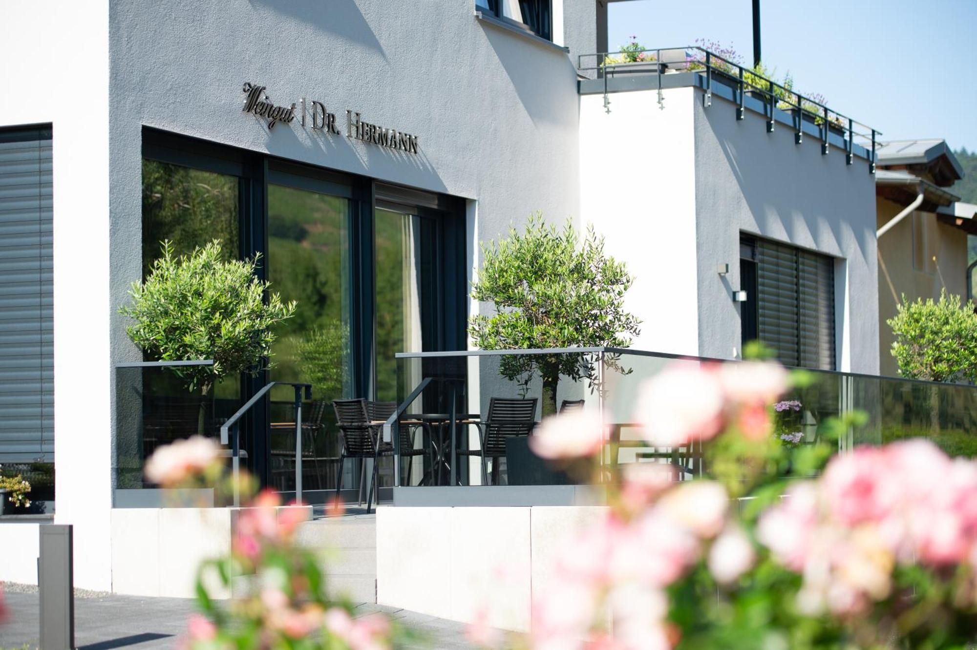 Apartment Weingut Dr Hermann I Erden Εξωτερικό φωτογραφία